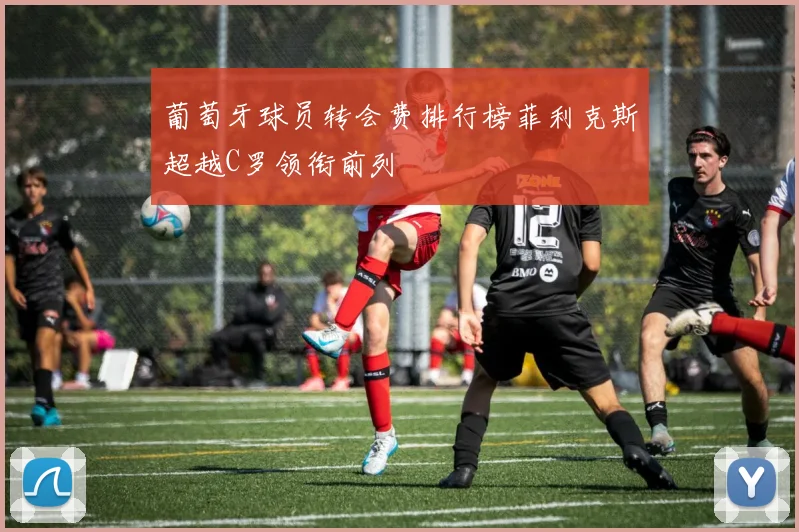 葡萄牙球员转会费排行榜菲利克斯超越C罗领衔前列