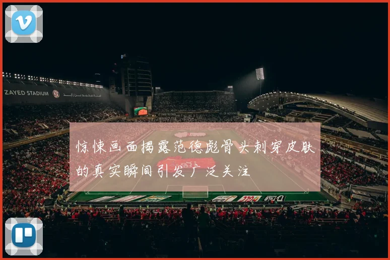 惊悚画面揭露范德彪骨头刺穿皮肤的真实瞬间引发广泛关注